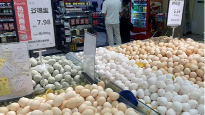 蛋價(jià)破6，價(jià)格還會(huì)漲嘛-上海邦森