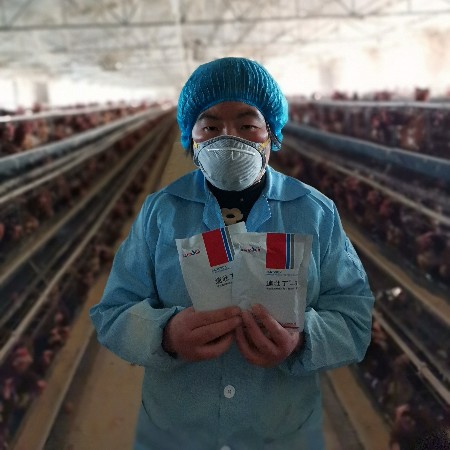 來吧，展示，好評如潮的速壯丁