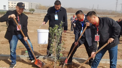 植樹節(jié)，播下希望的種子-上海邦森