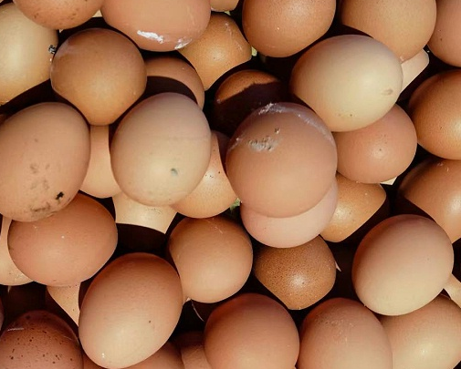 使用加強(qiáng)型如意后蛋質(zhì)量