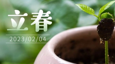 春氣始，萬物生-立春-上海邦森